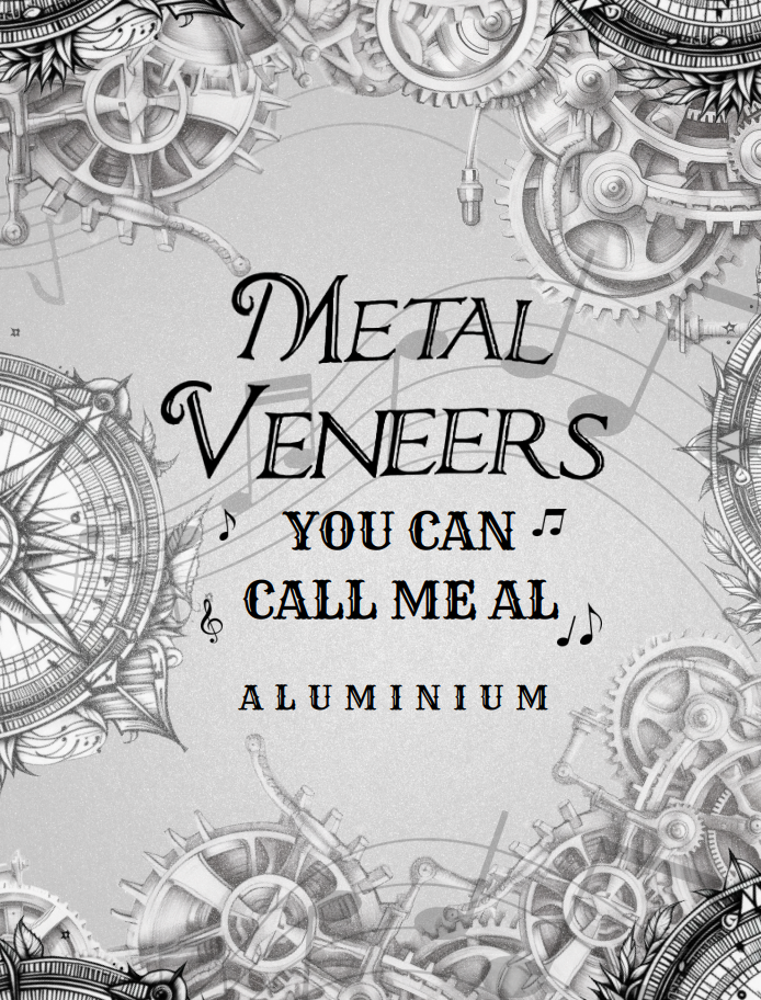 Aluminium ''You Can Call Me AL'' Liquid Metal Paint 400ml Spray Can