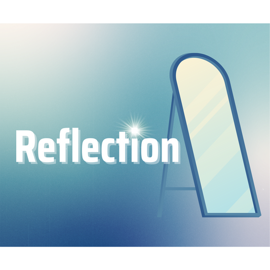 Reflection™ Easy Mirror Solution (1 Litre)